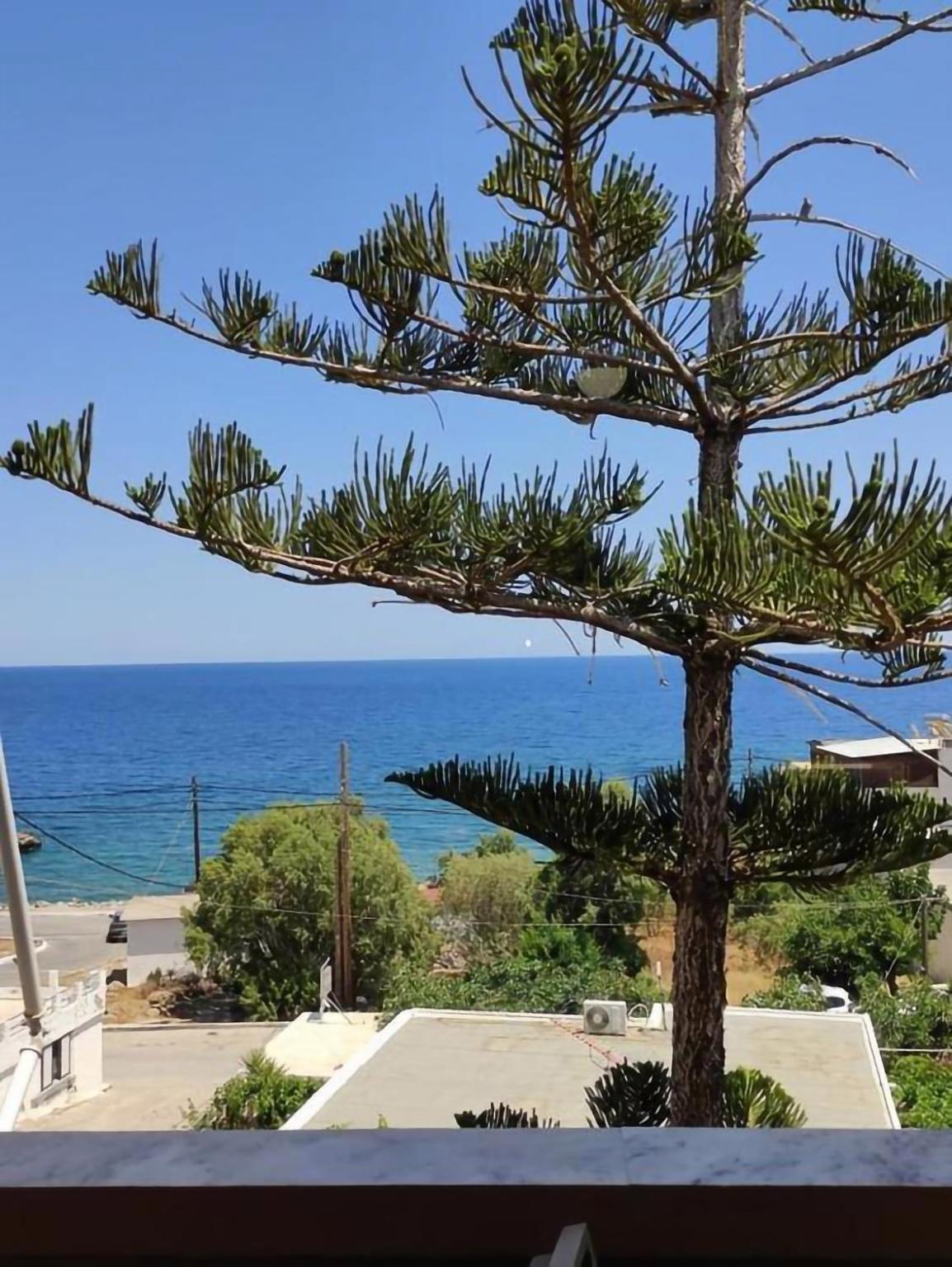 Soula Apartments & Studios Παλαιοχώρα Εξωτερικό φωτογραφία